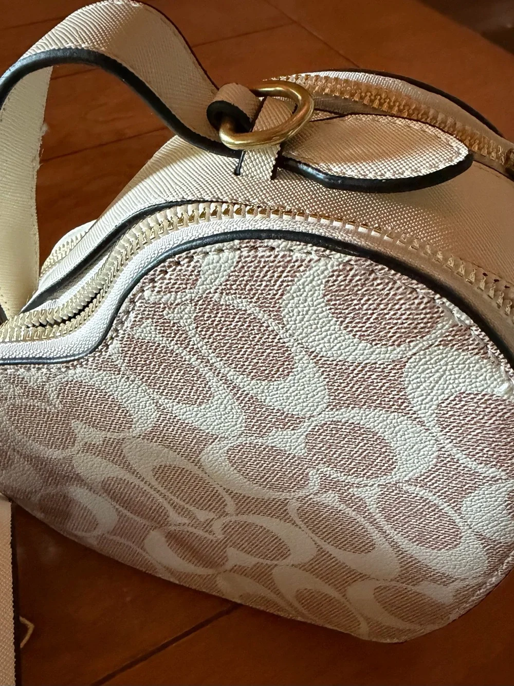 Coach Pink Heart Crossbody with Minnie & Mickey Print